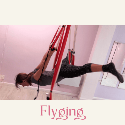 3.3 flyging